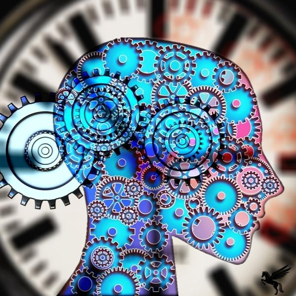 Trauma & Mindset Mentoring - Sei du selbst und verändere die Welt - Dain Heer 2 Mit Helene raus aus dem emotionalen Tief Wissen in der Anwendung Zahnräder die ineinander greifen Buchempfehlung Dain Heer